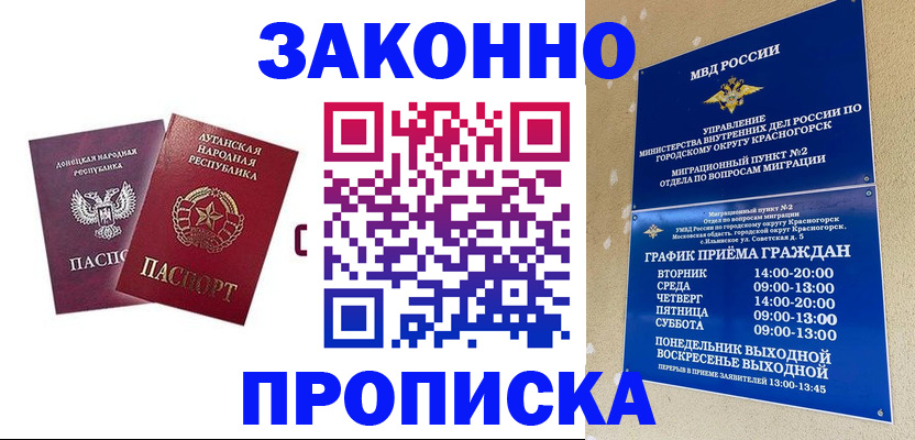 прописка в Сланцах